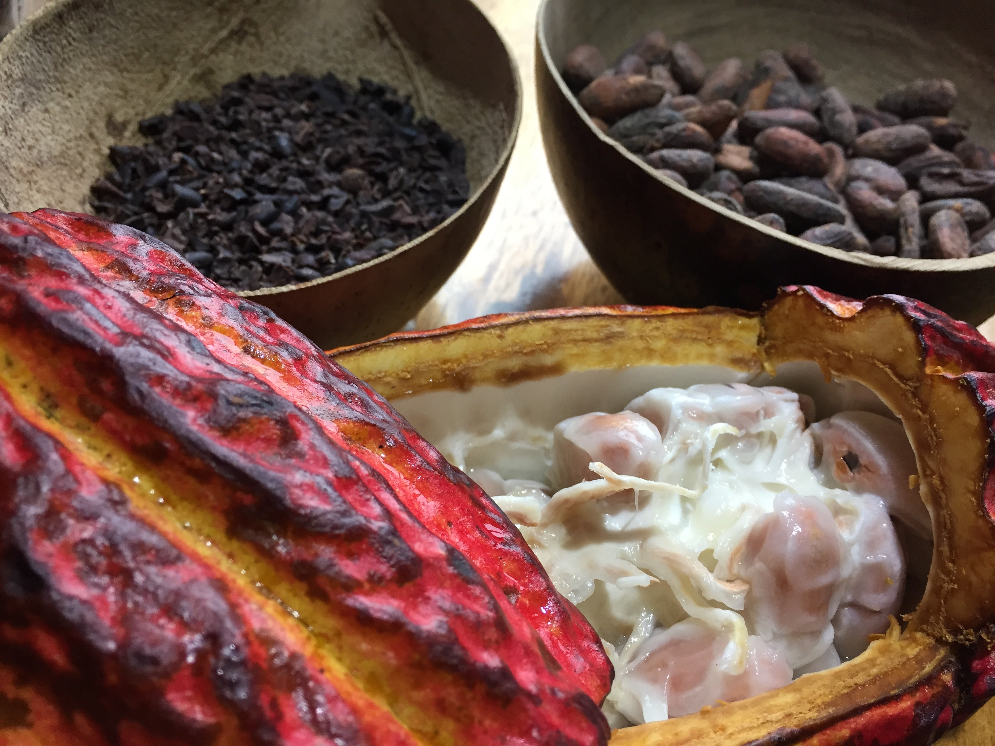 The Health Benefits of Chocolate Mindo Chocolate Makers