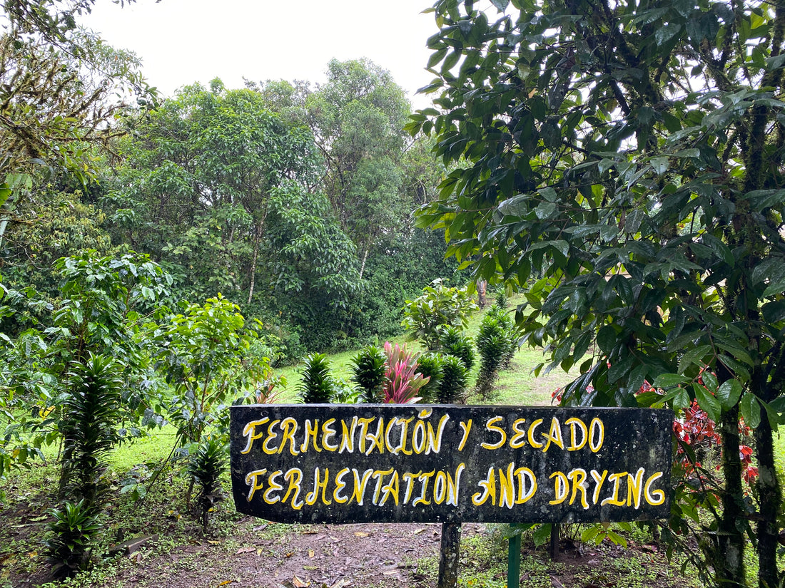 Our Head Chocolate Maker Visits Ecuador | By Elizabeth Gentry