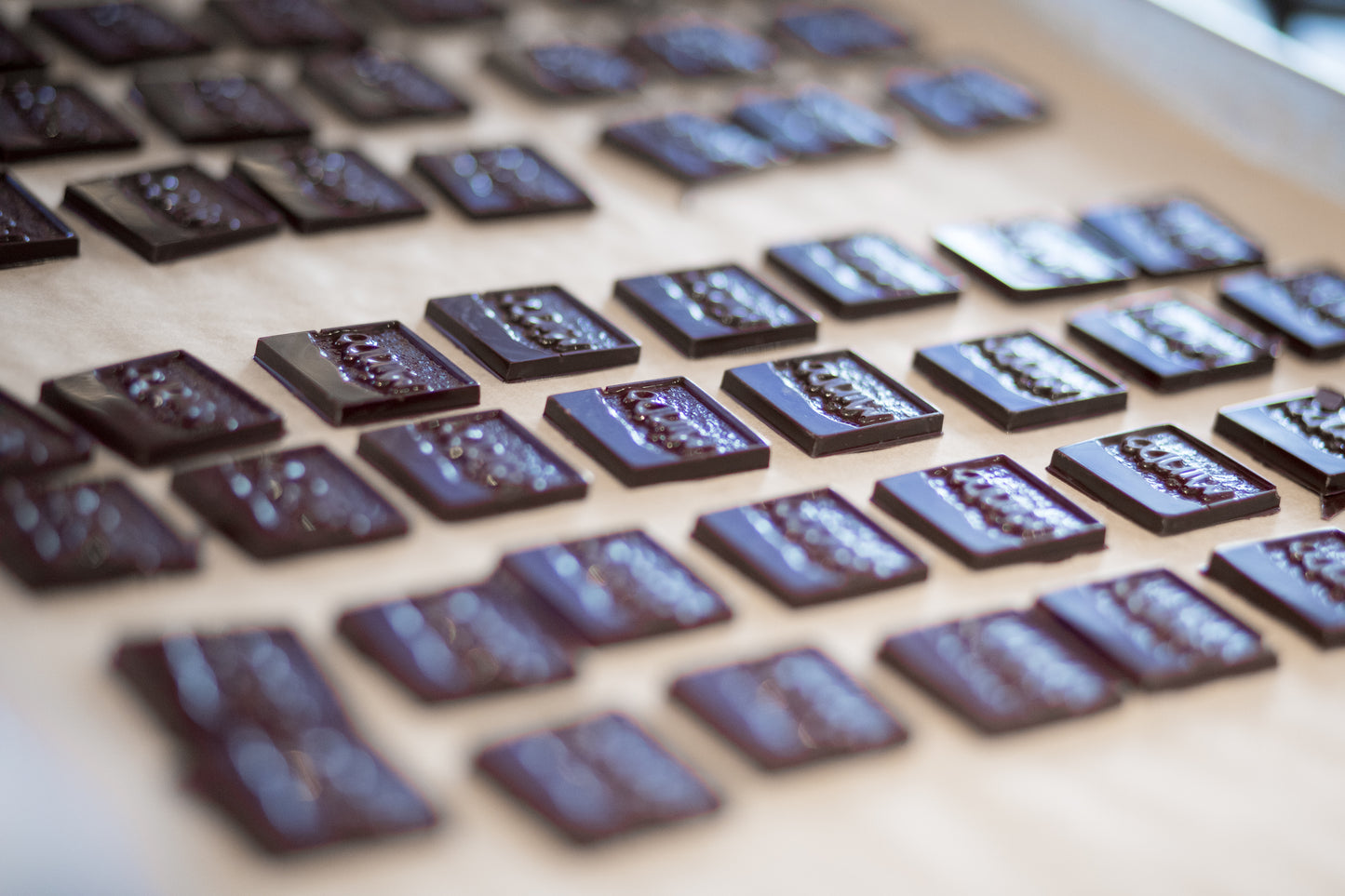 Chocolate Tasting Tile Sampler
