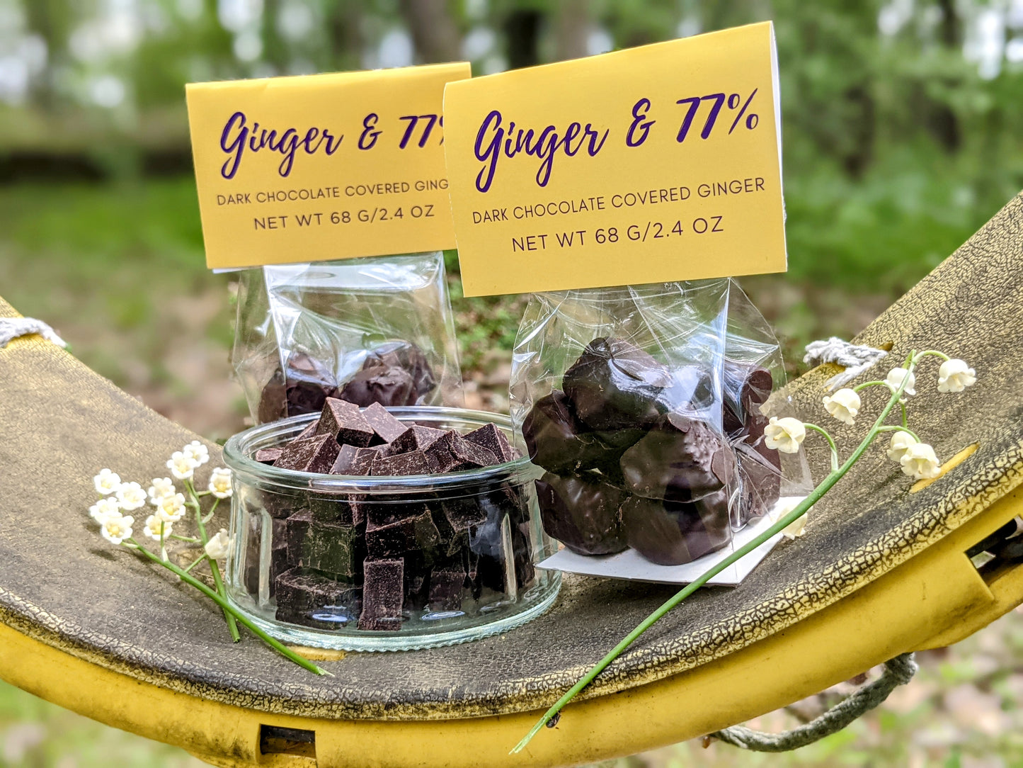 Chocolate Dipped Ginger | 77% Cacao