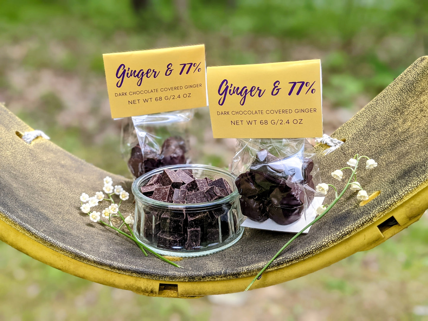 Chocolate Dipped Ginger | 77% Cacao