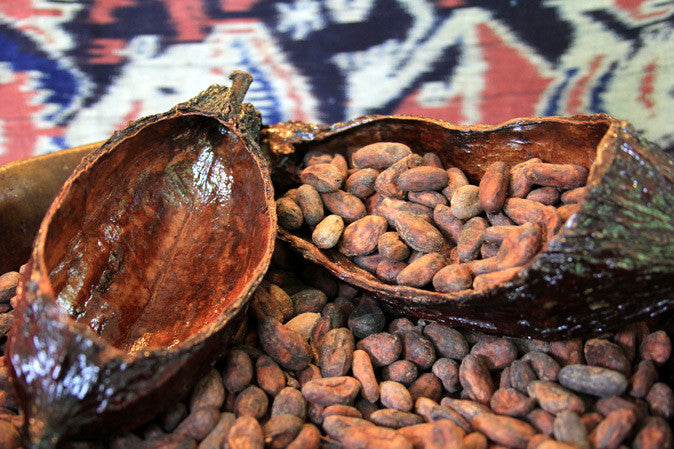 Nacional Cocoa Pod