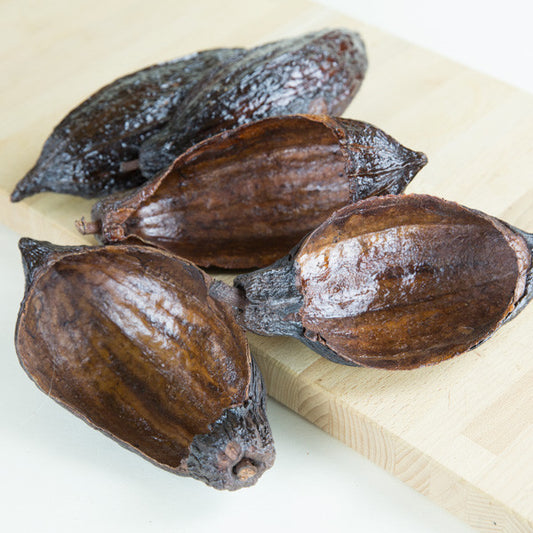 Nacional Cocoa Pod